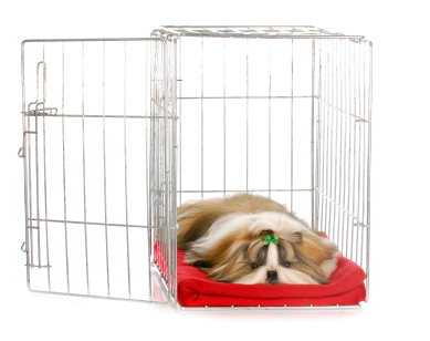 Puppy Crate - Safe Place